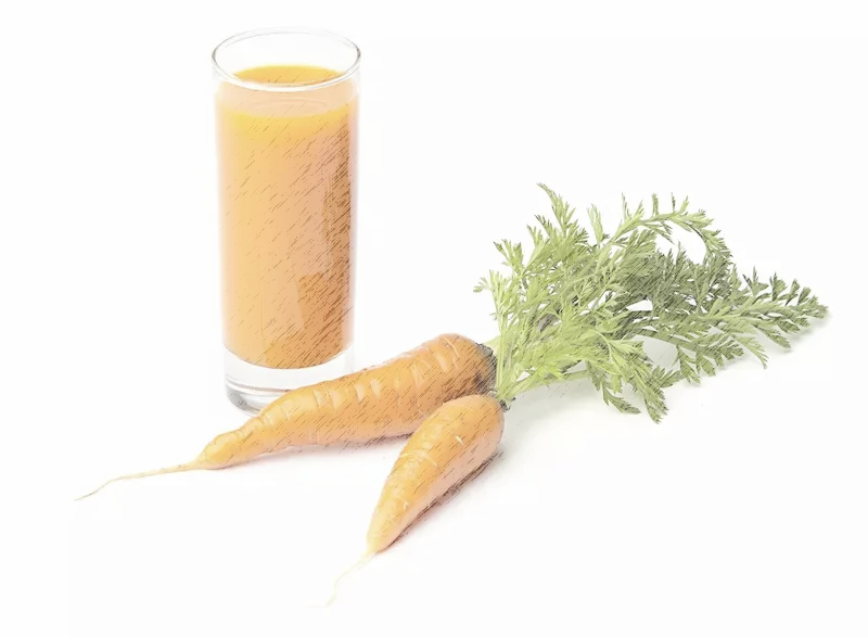 Sumo de cenoura extra&iacute;do com o Sana 606